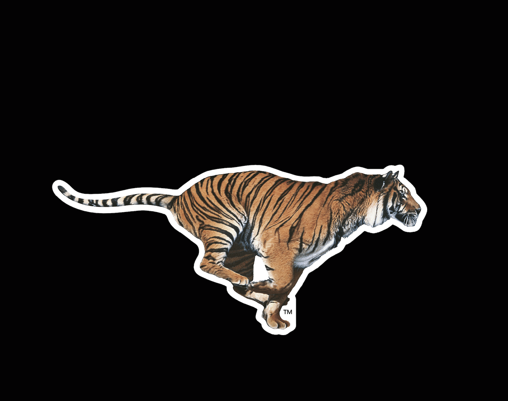 Tigre Esso